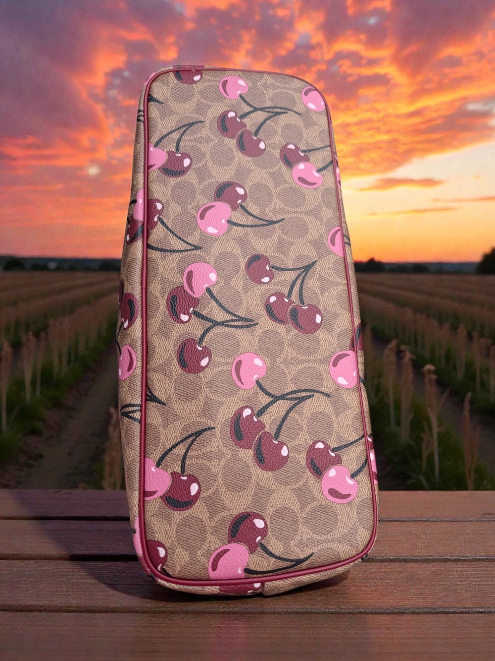 Coach Gallery Tote in Signature Canvas with Cherry Print (NWT) - Picture 6 of 9
